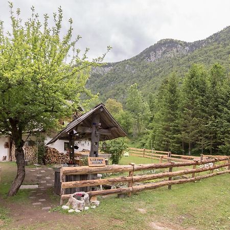 Vila Lizina Hiska House Bohinj Bohinjska Bistrica Exteriér fotografie