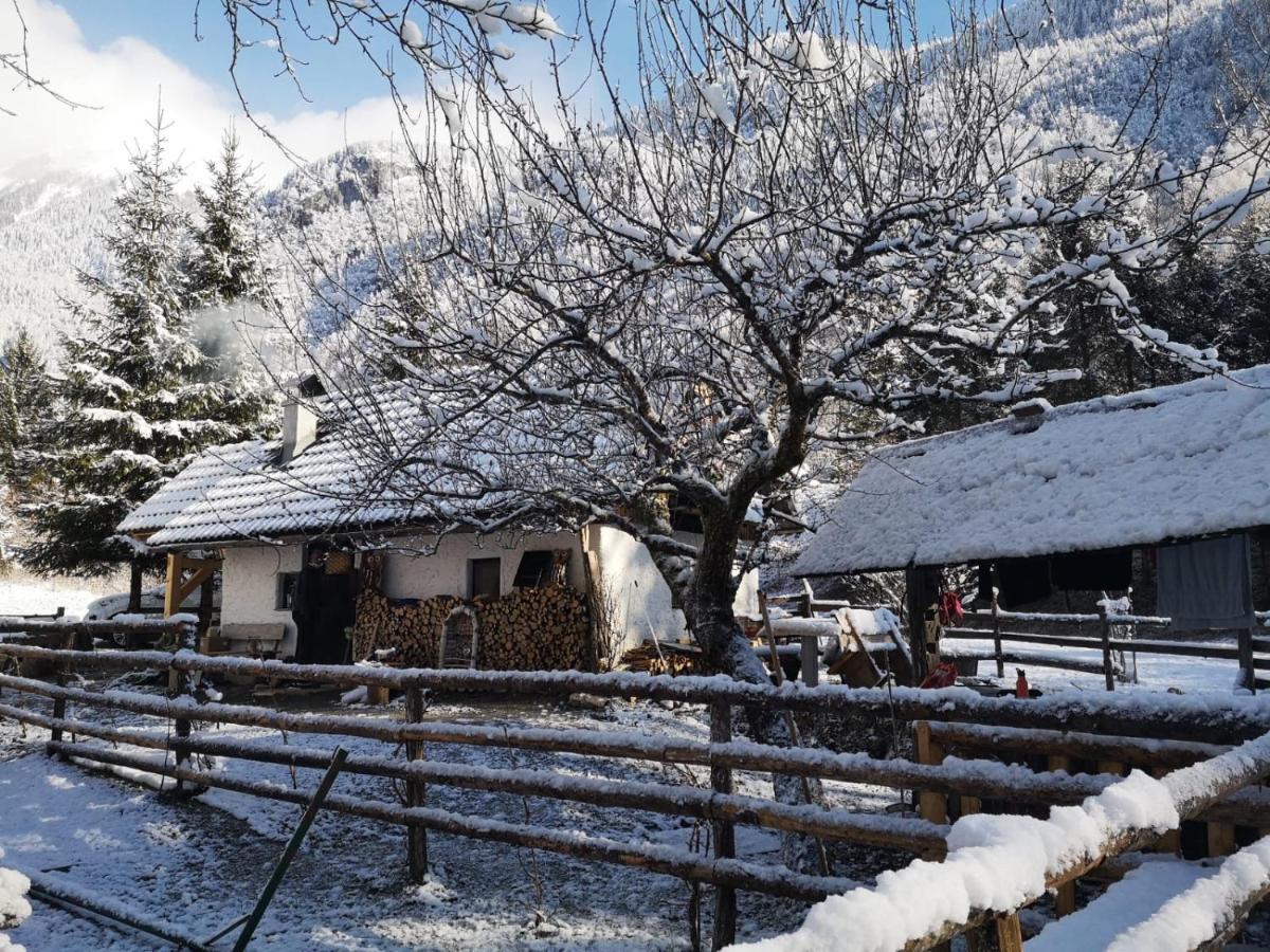 Vila Lizina Hiska House Bohinj Bohinjska Bistrica Exteriér fotografie