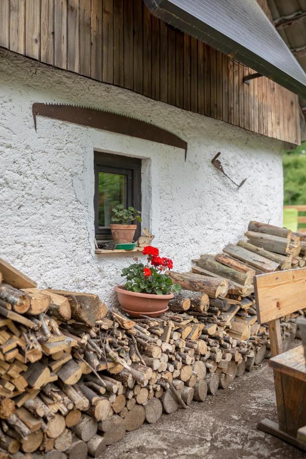 Vila Lizina Hiska House Bohinj Bohinjska Bistrica Exteriér fotografie