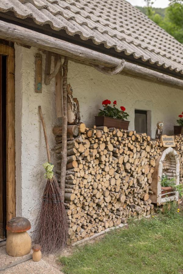 Vila Lizina Hiska House Bohinj Bohinjska Bistrica Exteriér fotografie
