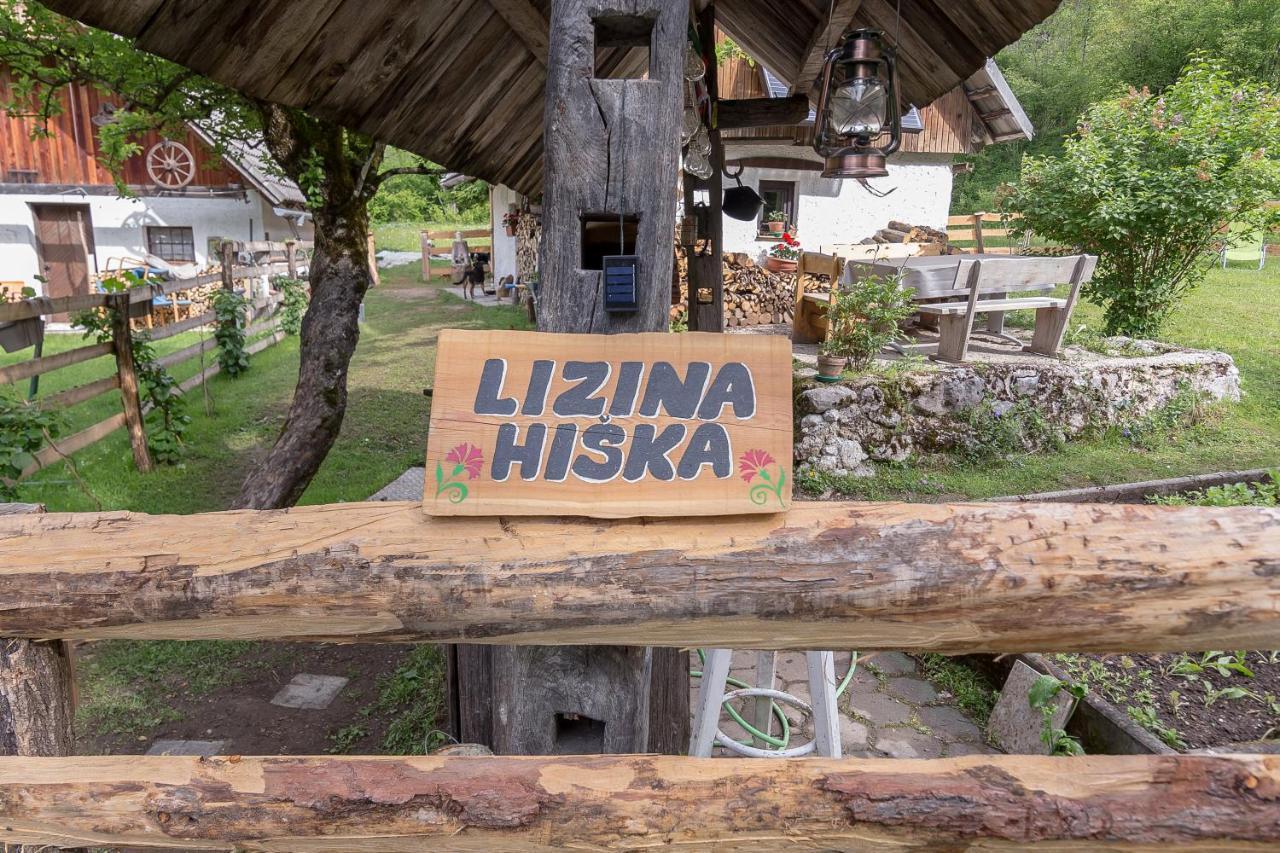Vila Lizina Hiska House Bohinj Bohinjska Bistrica Exteriér fotografie